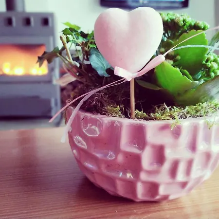 Sweet *